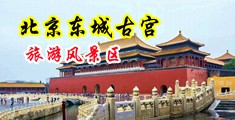 黑丝美女的骚穴中国北京-东城古宫旅游风景区